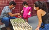 Horta hospitalar contribuirá para a produção sustentável de alimentos ofertados a crianças internadas